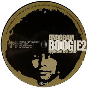 Anagram : Hurting For Your Love EP (12", EP)