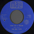 Box Tops : Turn On A Dream / Together (7")