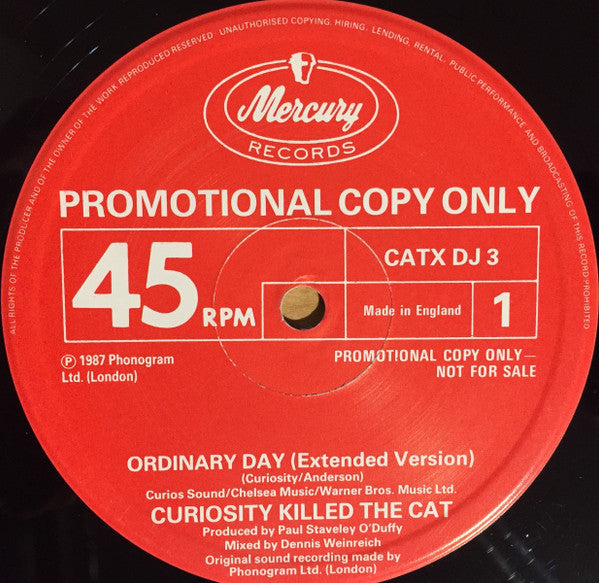 Curiosity Killed The Cat : Ordinary Day (12", Single, Promo)