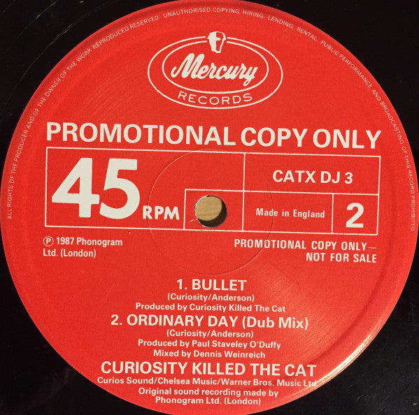 Curiosity Killed The Cat : Ordinary Day (12", Single, Promo)