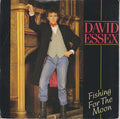 David Essex : Fishing For The Moon (7", Single)