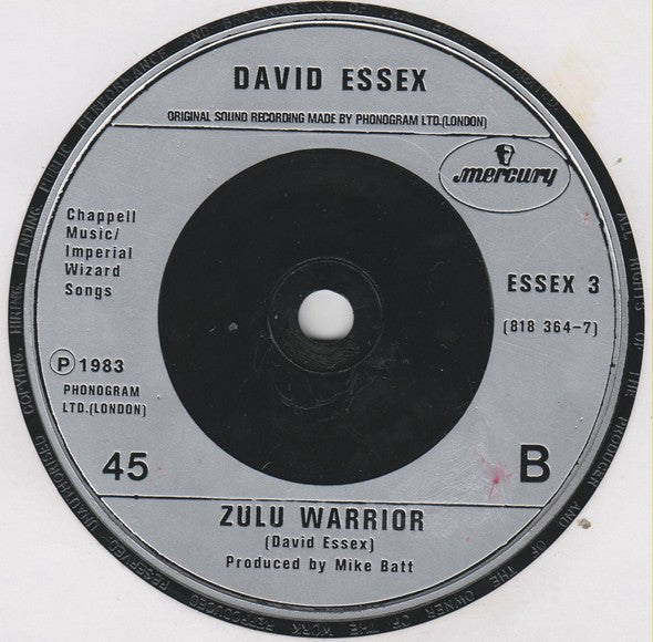 David Essex : Fishing For The Moon (7", Single)