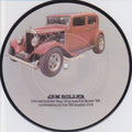 Jewel Akens / The Fendermen : Birds And The Bees / Mule Skinner Blues (7", Pic)