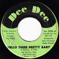 Ray Pettis : Hello There Pretty Baby / I Don't Care (7")