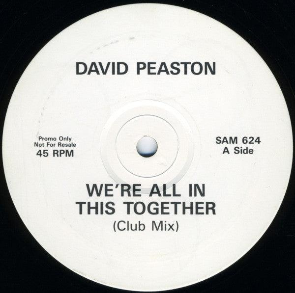 David Peaston : We're All In This Together (12", Promo)