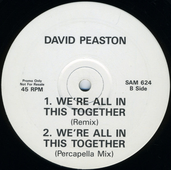 David Peaston : We're All In This Together (12", Promo)