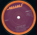 Albert Hammond : Lay The Music Down (7")