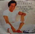 Julio Iglesias : I've Got You Under My Skin (7", Single)