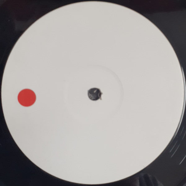 Planet Funk : The Switch (12", Promo)