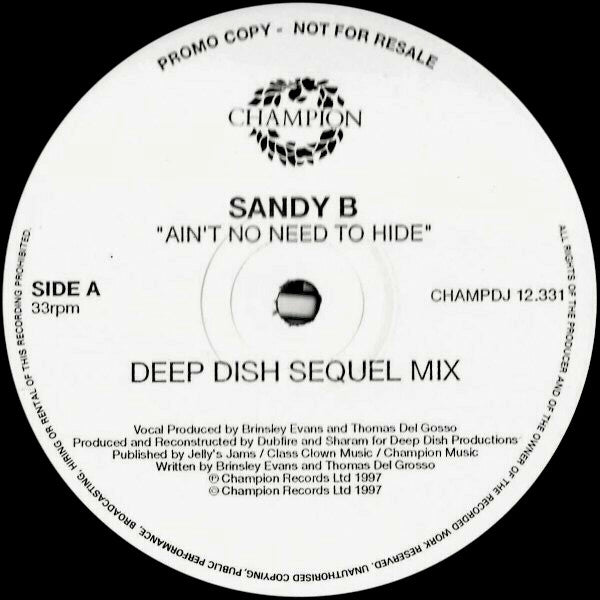 Sandy B : Ain't No Need To Hide (3x12", Promo)