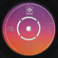 Gene Pitney : 24 Sycamore (7", Single)