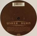 Usher : Burn (2x12", Promo)