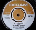 The Flower Pot Men* : A Walk In The Sky (7", Single)