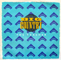 Big Country : The Teacher (7", Single, Sil)