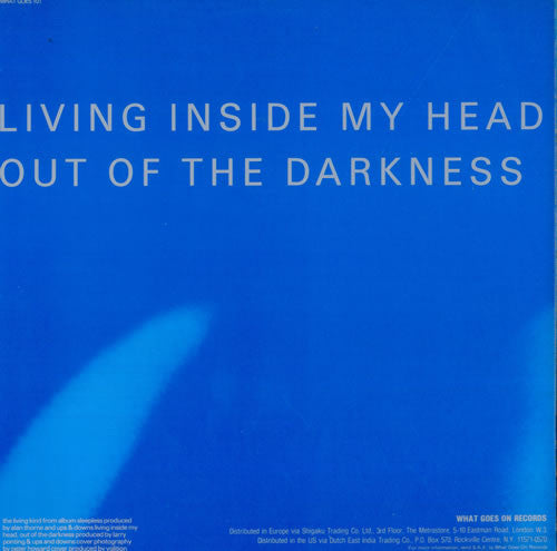 Ups And Downs : The Living Kind (12", Single)
