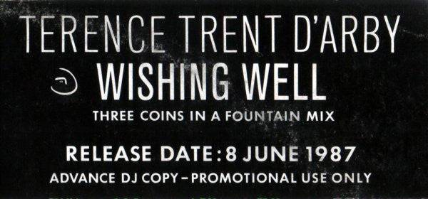 Terence Trent D'Arby : Wishing Well (Three Coins In A Fountain Mix) (12", Promo, W/Lbl)