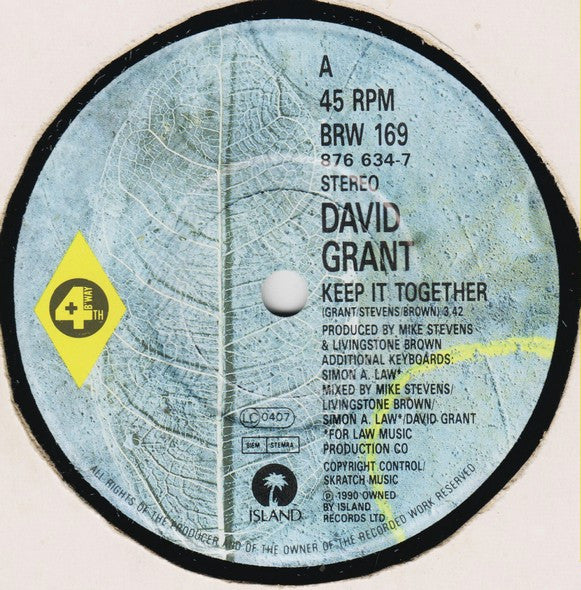 David Grant : Keep It Together (7", Single)