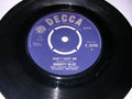 Babbity Blue : Don't Hurt Me (7")