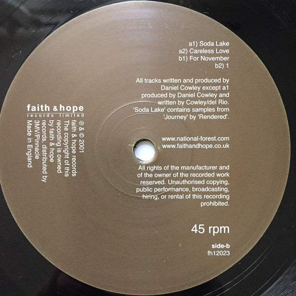 National Forest : Soda Lake (12")