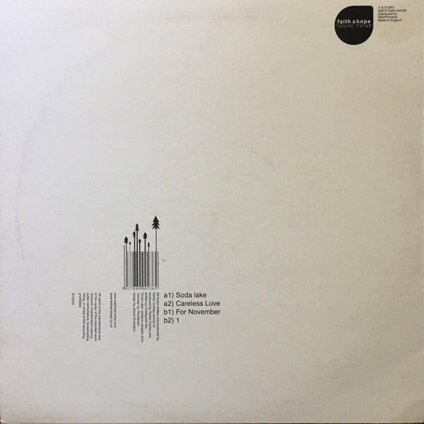 National Forest : Soda Lake (12")