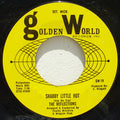 The Reflections (2) : Shabby Little Hut / You're My Baby (And Don't You Forget It) (7", Mono, Ter)