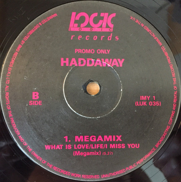 Haddaway : I Miss You (12", Promo)