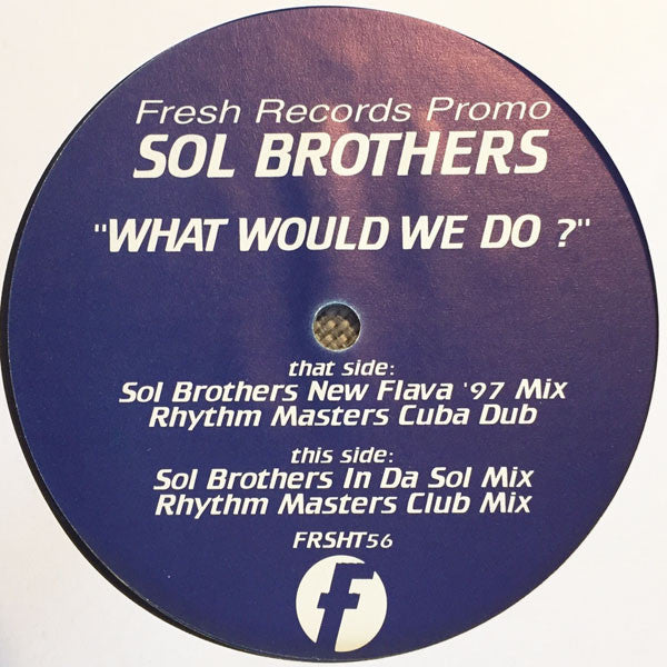 Sol Brothers : What Would We Do? (12", Promo)