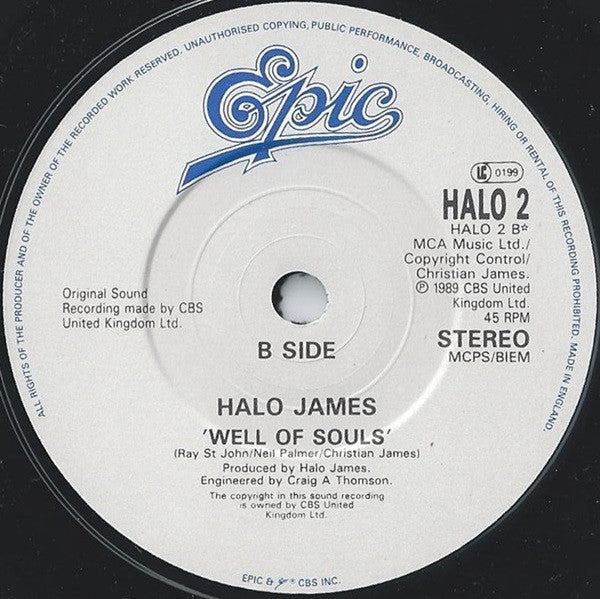 Halo James : Could Have Told You So (7", Single, Whi)