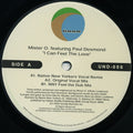 Mister O Featuring Paul Desmond : I Can Feel The Love (12")