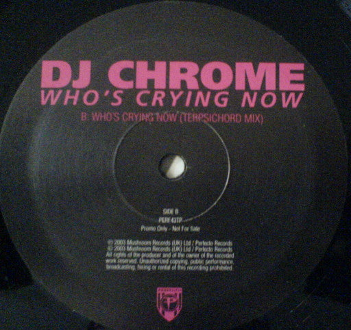 DJ Chrome : Who's Crying Now (2x12", Promo)