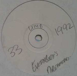 V.M.B. : Everybody's Dreaming (12", W/Lbl)