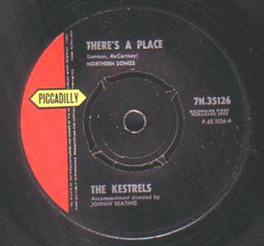 The Kestrels : There's A Place (7")