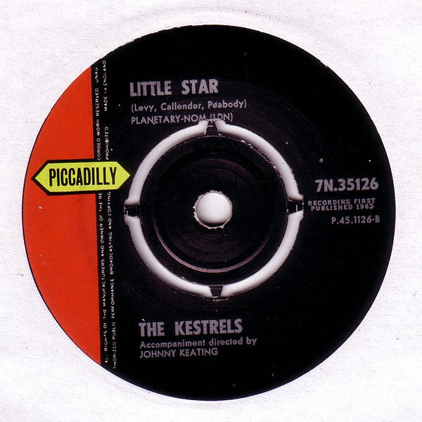 The Kestrels : There's A Place (7")