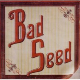 Bad Seed : Bad Seed (CD, Album)