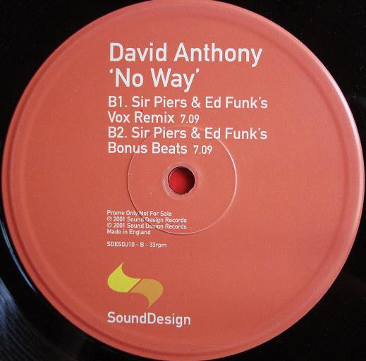 David Anthony : No Way (12", Promo)