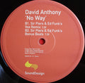 David Anthony : No Way (12", Promo)