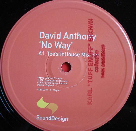 David Anthony : No Way (12", Promo)