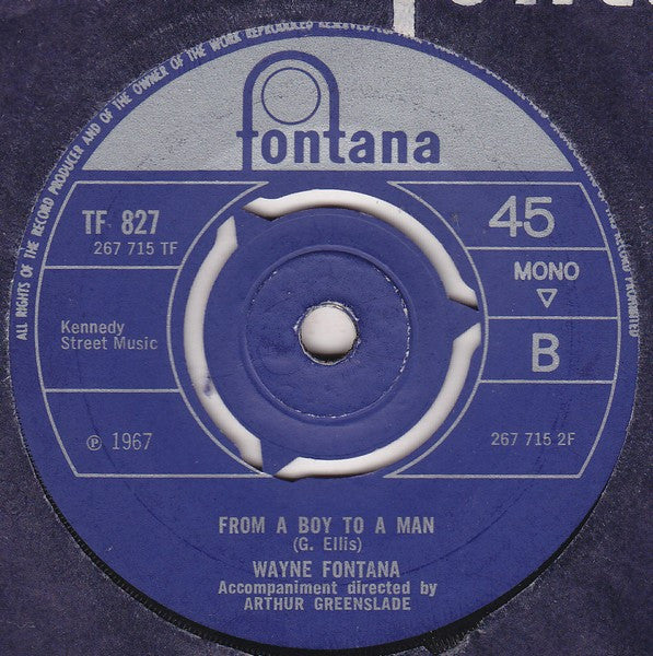 Wayne Fontana : 24 Sycamore (7", Single)