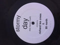 Todd Edwards & Filthy Rich Featuring Damon Trueitt : Stormy Day (Remixes) (12")