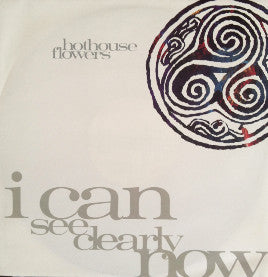 Hothouse Flowers : I Can See Clearly Now (12", Single)