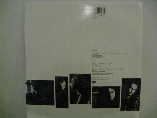 Hothouse Flowers : I Can See Clearly Now (12", Single)