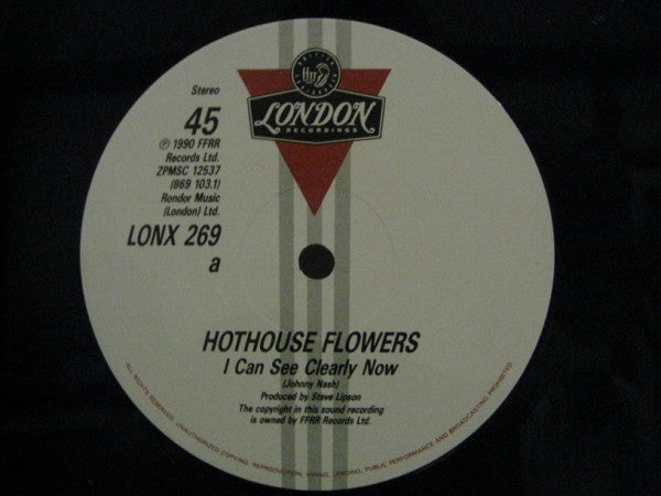 Hothouse Flowers : I Can See Clearly Now (12", Single)