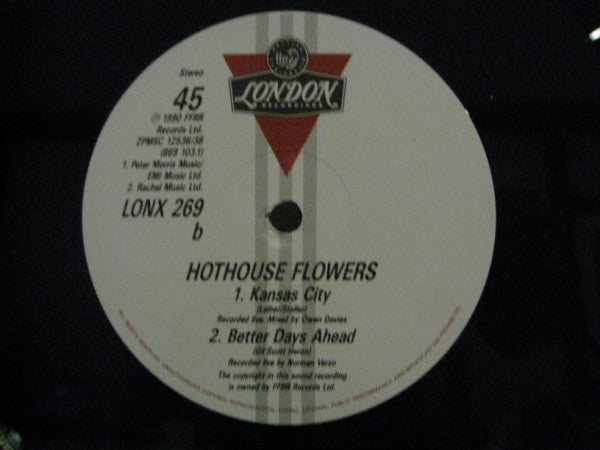 Hothouse Flowers : I Can See Clearly Now (12", Single)