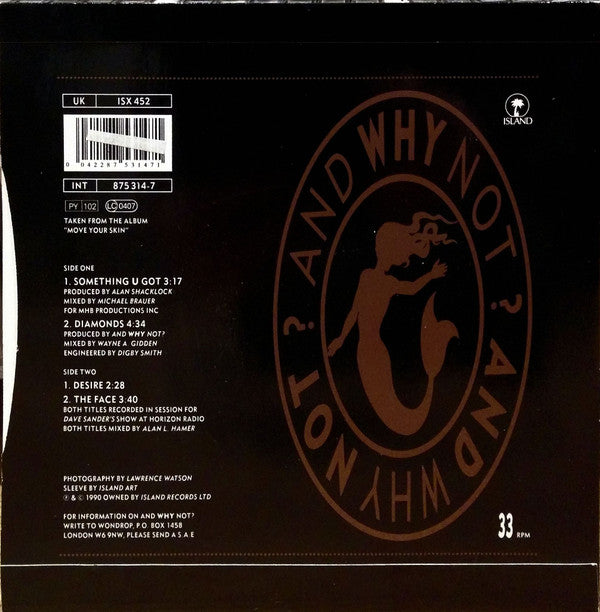 And Why Not? : Something U Got (7", EP)