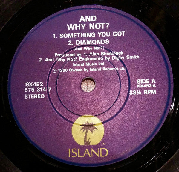 And Why Not? : Something U Got (7", EP)