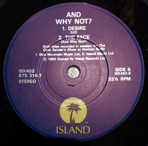 And Why Not? : Something U Got (7", EP)