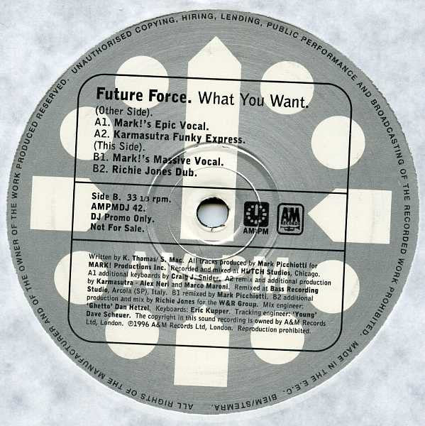 Future Force : What You Want (2x12", Promo)