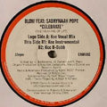 Blow (3) Feat. Sabrynaah Pope : Celebrate (The Meaning Of Life) (12")