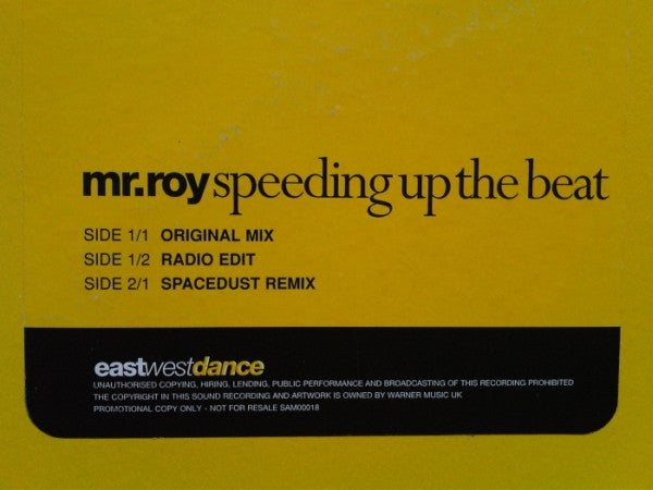 Mr. Roy : Speeding Up The Beat (12", Promo)