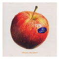 Various : A Flavour Of The Label 4 (CD, Comp, Promo)